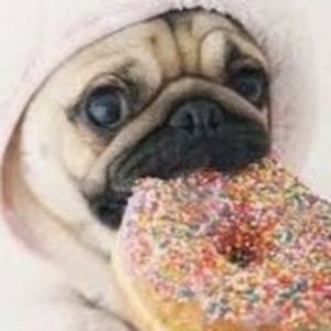 Meet your Posher, Kylee